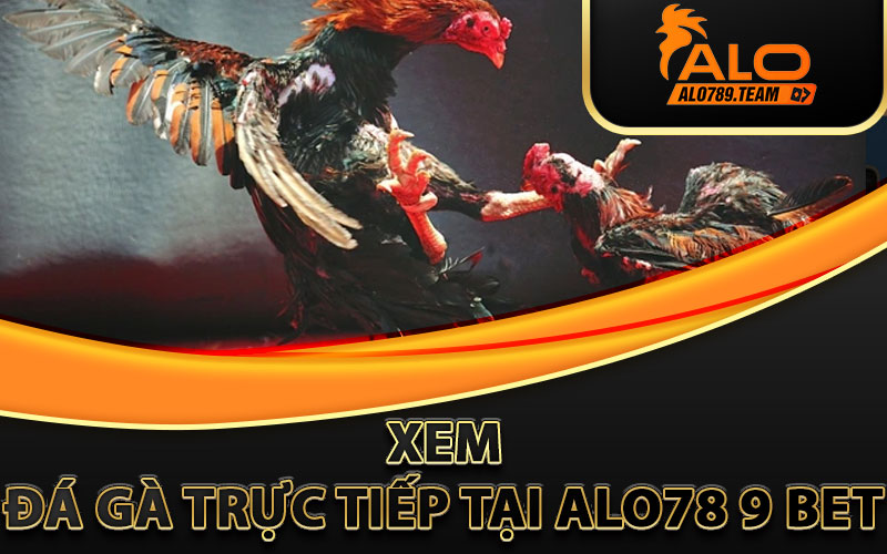 xem-đá-gà-trực-tiếp-tại-alo789