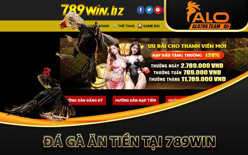 đá gà ăn tiền tại 789win